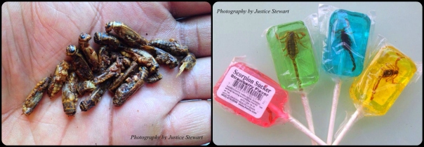 Deep Fried crickets & Scorpion lollipops I purchased during the trip